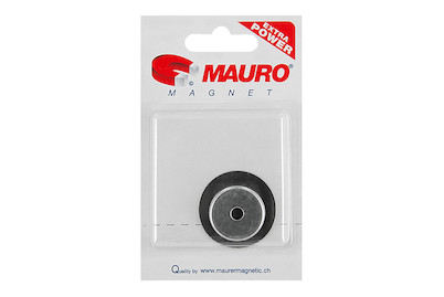 Image of Flachtopfmagnet 25 mm bei JUMBO