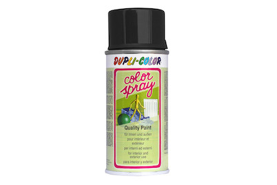 Image of Color-Spray matt schwarz 150 ml bei JUMBO