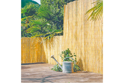 Image of Qualité&Prix Schilfrohrmatte 1x5 m bei JUMBO