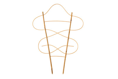 Image of Qualité&Prix Pflanzenstab 40 cm bei JUMBO