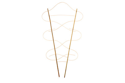 Image of Pflanzenstab 80 cm bei JUMBO