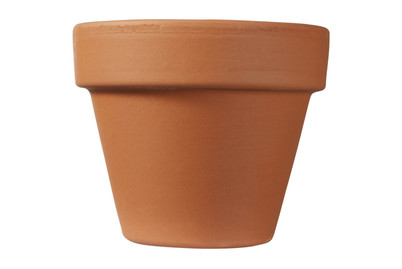 Image of Blumentopf ø 7/ H 6 cm bei JUMBO