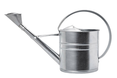 Image of Giesskanne Metall 10 l bei JUMBO