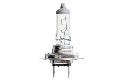 Image of Philips Premium Halogenlampe H7 12 V bei JUMBO