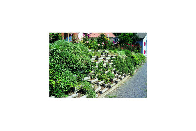 Image of Böschungsstein Primavera 40x30x14 cm bei JUMBO