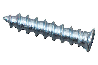 Image of Center Schraube 2.4 x 12 mm, 20 Stk. bei JUMBO