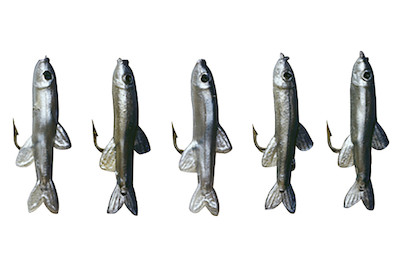 Image of Egli-Hegene plastifiziert bei JUMBO