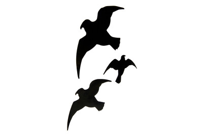 Image of Windhager Vogelsilhouetten selbstklebend bei JUMBO