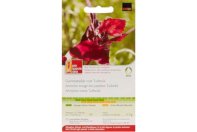 Image of ProSpecieRara Bio Gartenmelde rot Lebeda bei JUMBO