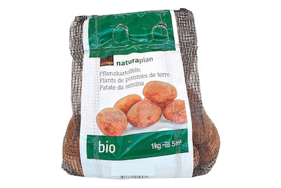 Image of Bio Saatkartoffeln Agria 1.0 kg