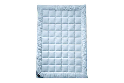 Image of Duvet Meisterklasse Duo 160 x 210 cm bei JUMBO