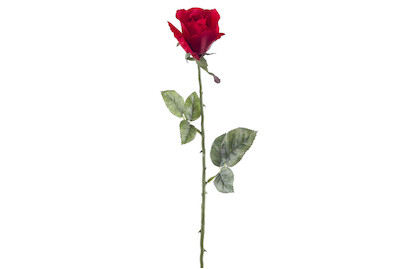 Image of Rose 65 cm rot bei JUMBO