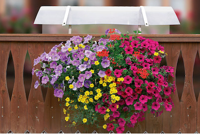 Image of Neoflor-Balconia Schutzdach 70 cm für Kistli / pour bacs de 50 - 60 cm bei JUMBO