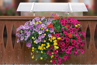 Image of Neoflor-Balconia Schutzdach, 100 cm für Kistli / pour bacs de 70 - 100 cm bei JUMBO