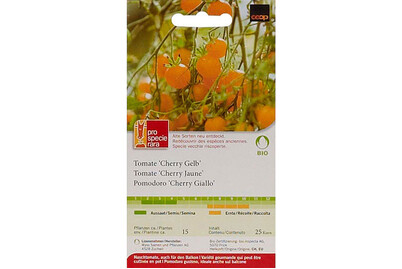 Image of Pro Specie Rara Bio Tomate Cherry Gelb bei JUMBO