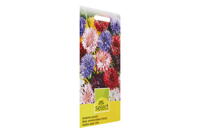 Image of Kornblume gefüllt gemischt bei JUMBO
