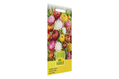 Image of Strohblumen gefüllt Mischung bei JUMBO