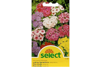 Image of Einjährige Flammenblume Mix bei JUMBO