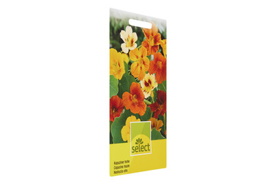 Image of Tropaeolum Samen majus Mischung bei JUMBO