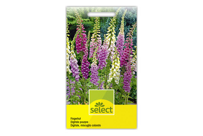 Image of Digitalis purpurea Mischung bei JUMBO