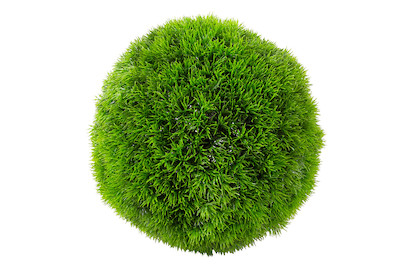 Image of Gras Kugel 30 cm grün