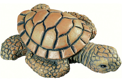 Image of Möbelknopf Schildkröte H022-56A9 bei JUMBO