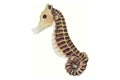 Image of Möbelknopf Seepferd H024-65A9 bei JUMBO