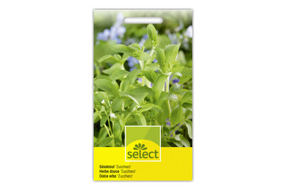 Image of Zucchero, Stevia bei JUMBO