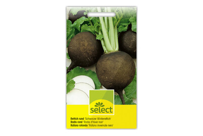Image of Rettich Schwarzer Winterrettich bei JUMBO