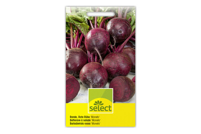 Image of Rande Rote Rübe Moneta bei JUMBO