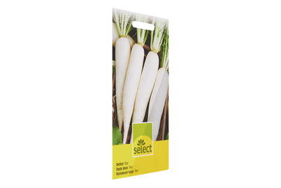 Image of Rettich Rex bei JUMBO