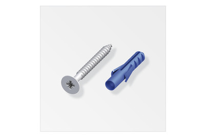 Image of Schrauben + Dübel Senkschraube 3x30 mm, Dübel Ø5 mm silber, SB à 10 Stück bei JUMBO