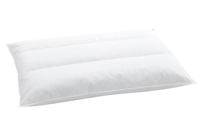 Image of Kissen Terzo 250, 65 x 65 cm bei JUMBO