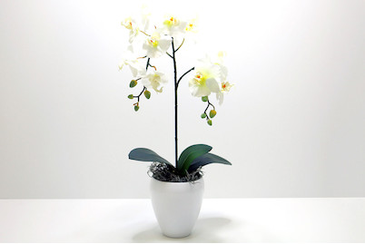 Image of Luwatex Phaleanopsis 50 cm weiss verzweigt bei JUMBO