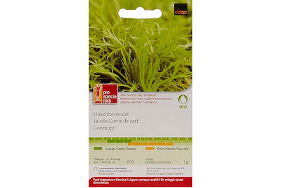 Image of ProSpecieRara Bio Hirschhornsalat bei JUMBO