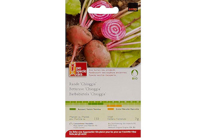 Image of ProSpecieRara Bio Rande Chioggia bei JUMBO