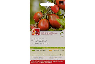 Image of ProSpecieRara Bio Tomate Black Plum bei JUMBO