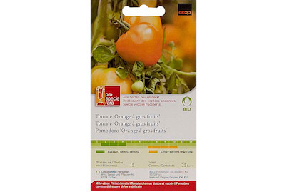 Image of ProSpecieRara Bio Tomate Orange à gros fruits bei JUMBO
