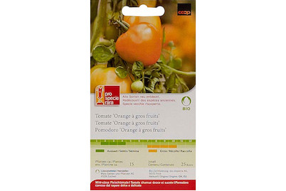 Image of ProSpecieRara Bio Tomate Orange à gros fruits