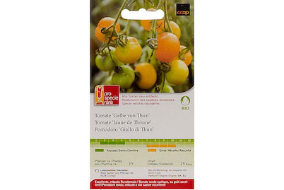 Image of ProSpecieRara Bio Tomate Gelbe von Thun