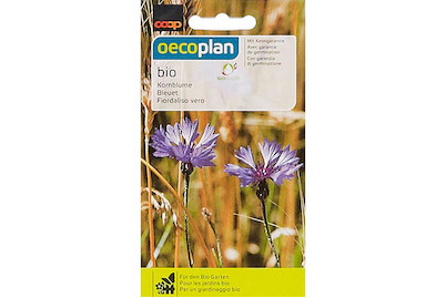 Image of Bio Kornblume bei JUMBO