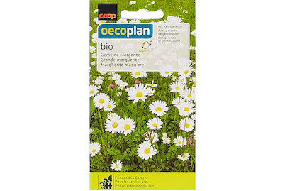 Image of Bio Gemeine Margerite bei JUMBO