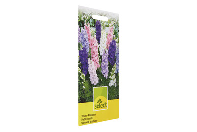 Image of Delphinium gemischt bei JUMBO