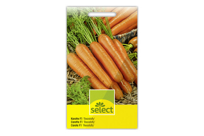 Image of Karotte Resistafly bei JUMBO