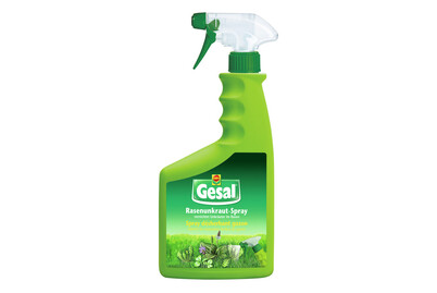 Image of Gesal Rasen-Unkrautspray 750 ml bei JUMBO