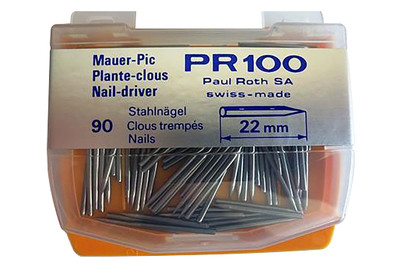 Image of Nägel 22mm zu Mauer Pic bei JUMBO