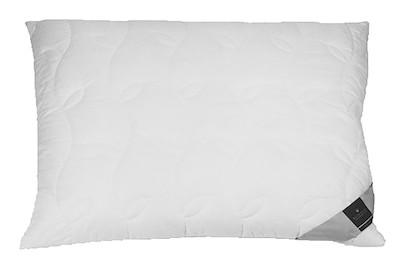 Image of Kissen Belair 65 x 100 cm bei JUMBO