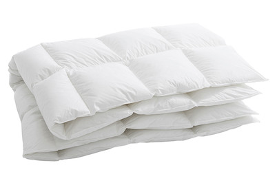 Image of Duvet Montreux 100, 160 x 210 cm bei JUMBO