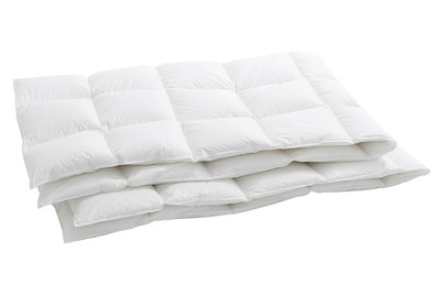 Image of Duvet Bern 100, 160 x 210 cm bei JUMBO