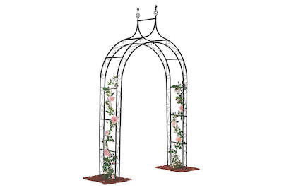 Image of Rosenbogen Giulietta 240x140 cm bei JUMBO